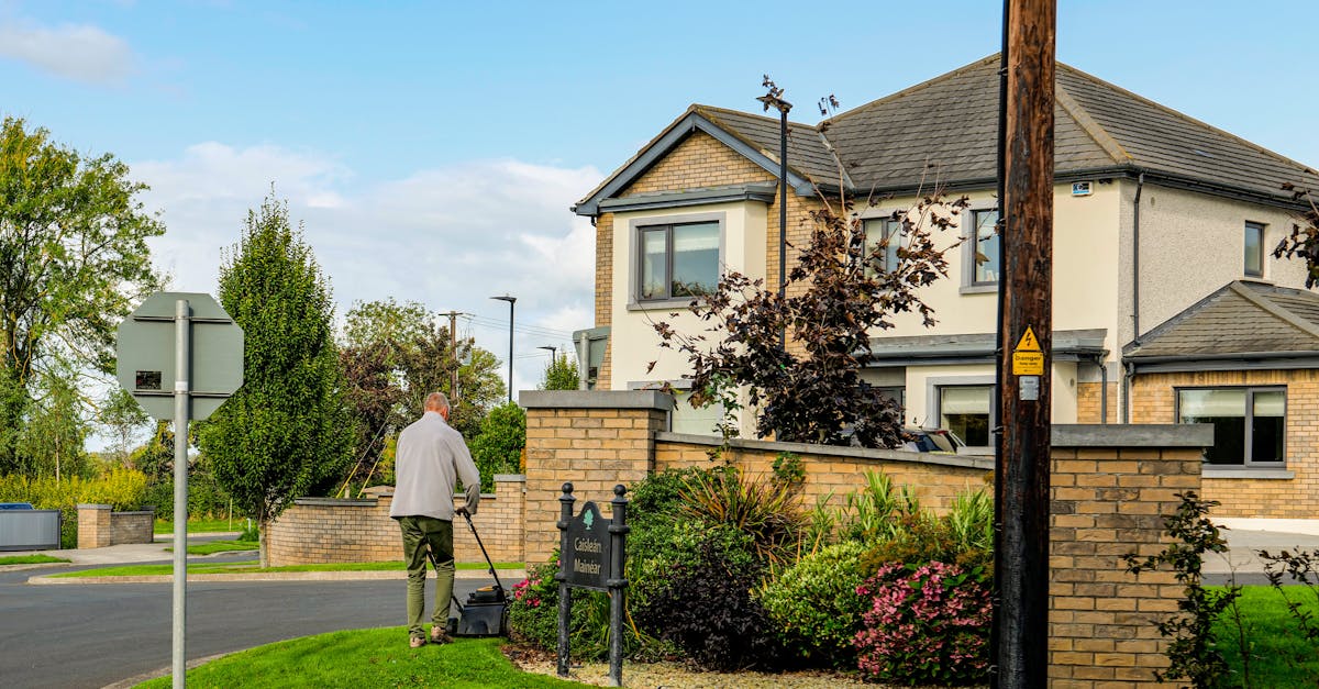 How do I know if my roof needs repairs?