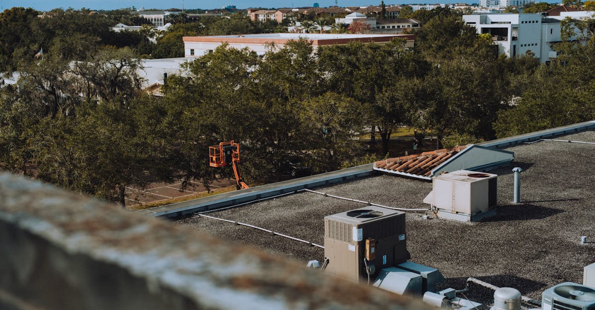 What damages roof the most?